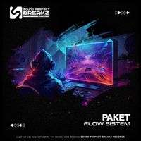 Paket - Flow sistem