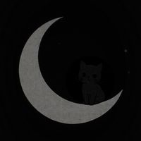 Gato Negro - La Luna