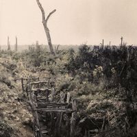 ArchitectSound - Where the Echo Fails