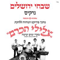 Narkis - שבחי ירושלים (מתוך פרויקט המחווה ללהקת צלילי הכרם)