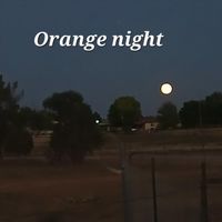 Trevor Wright - Orange Night