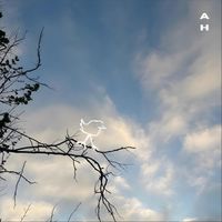 Arno Hakobyan - birdsong