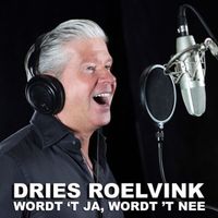 Dries Roelvink - Wordt 't ja, wordt 't nee