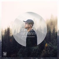 Freddie Joachim - Beyond the Sea of Trees