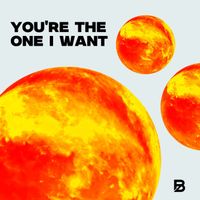 BADOX - You're the One I Want