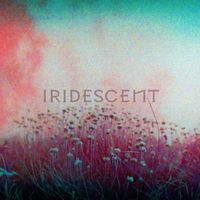 Lynx - Iridescent