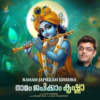 Ajay Warriar - Namam Japikkam Krishna