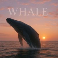 Whale - First Contact