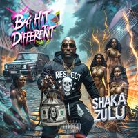 Shaka Zulu - Bag Hit Different (Explicit)
