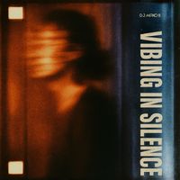 D.J. Mirko B. - Vibing In Silence