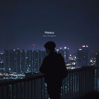 Melezz - 3am thoughts