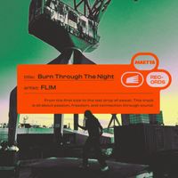 FL!M - Burn Through The Night (Explicit)