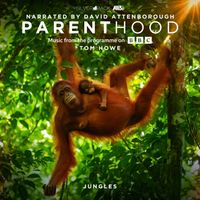 Tom Howe - Parenthood: Jungles (Music From The Programme On BBC)