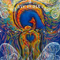 Lito Vitale - Ave Fenix 2