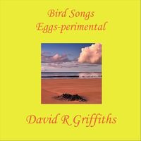 David R. Griffiths - Bird Songs Eggs-perimental