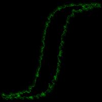 Autumn - Full Saturator