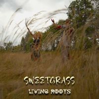 Living Roots - Sweetgrass