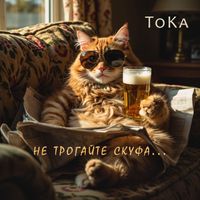ToKa - Не трогайте скуфа...