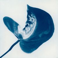 Bleach - If Time Was Kind