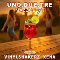 Vinylshakerz - Uno, Due, Tre ( Mazzoletti ) (Video Version)