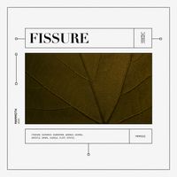 Mammoth - Fissure