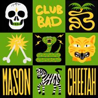 Mason - Cheetah