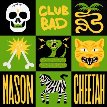 Mason - Cheetah