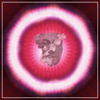 Halogen Star - Secrets in Motion III