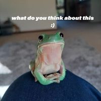 KOMA - What do you think about this :)