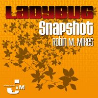 Ladybug - Snapshot
