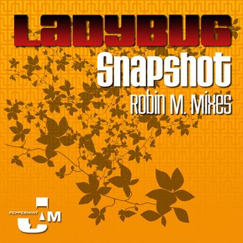 Ladybug - Snapshot