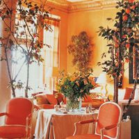 BARBARA - Darjeeling