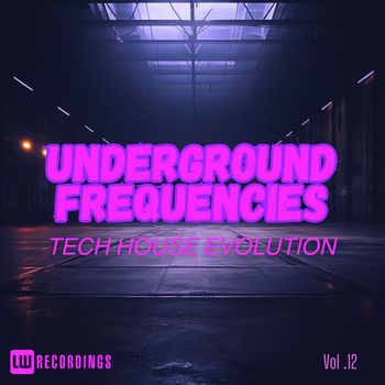 Various Artists - Underground Frequencies: Tech-House Evolution, Vol. 12