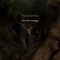 Dominik Rueegg - Nocturno