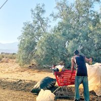 YoPatzer - Under The Moon (Alt Mix)