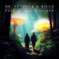 Dr. Peacock & Billx - Path Of The Wisemen