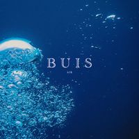 Buis - Air
