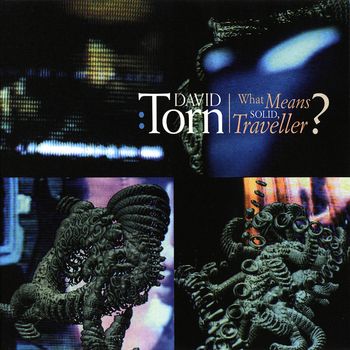 David Torn - What Means Solid Traveller?