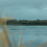 мыло! - Смысл