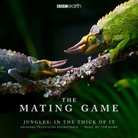 Tom Howe - The Mating Game - Jungles: In The Thick Of It (Original Television Soundtrack)