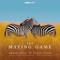 Tom Howe - The Mating Game - Grasslands: In Plain Sight (Original Television Soundtrack)