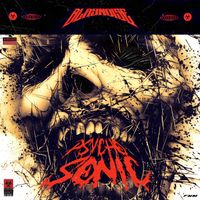 Blaynoise - Psychosonic