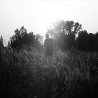 Blackbird - Souvenir d'Été