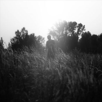 Blackbird - Souvenir d'Été