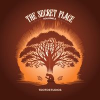 tdotostudios - The Secret Place Volume 2