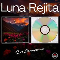 Los Campesinos - Luna Rejita