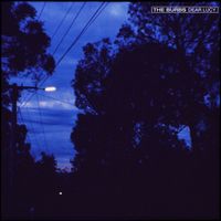 The Burbs - Dear Lucy