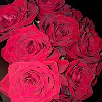 Peter Grant - King's Diary (Explicit)