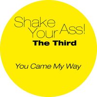 Shake Your Ass - The Third