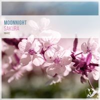 Moonnight - Sakura